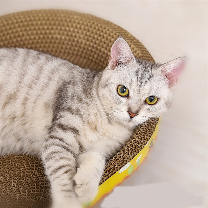 Oval Cat Scratch Lounger